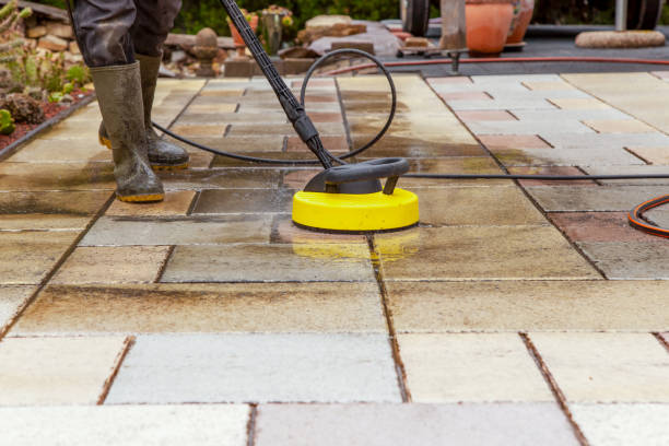 Animal Enclosure Cleaning in Crump, TN