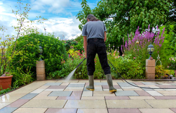Best Sidewalk and Walkway Cleaning  in Crump, TN